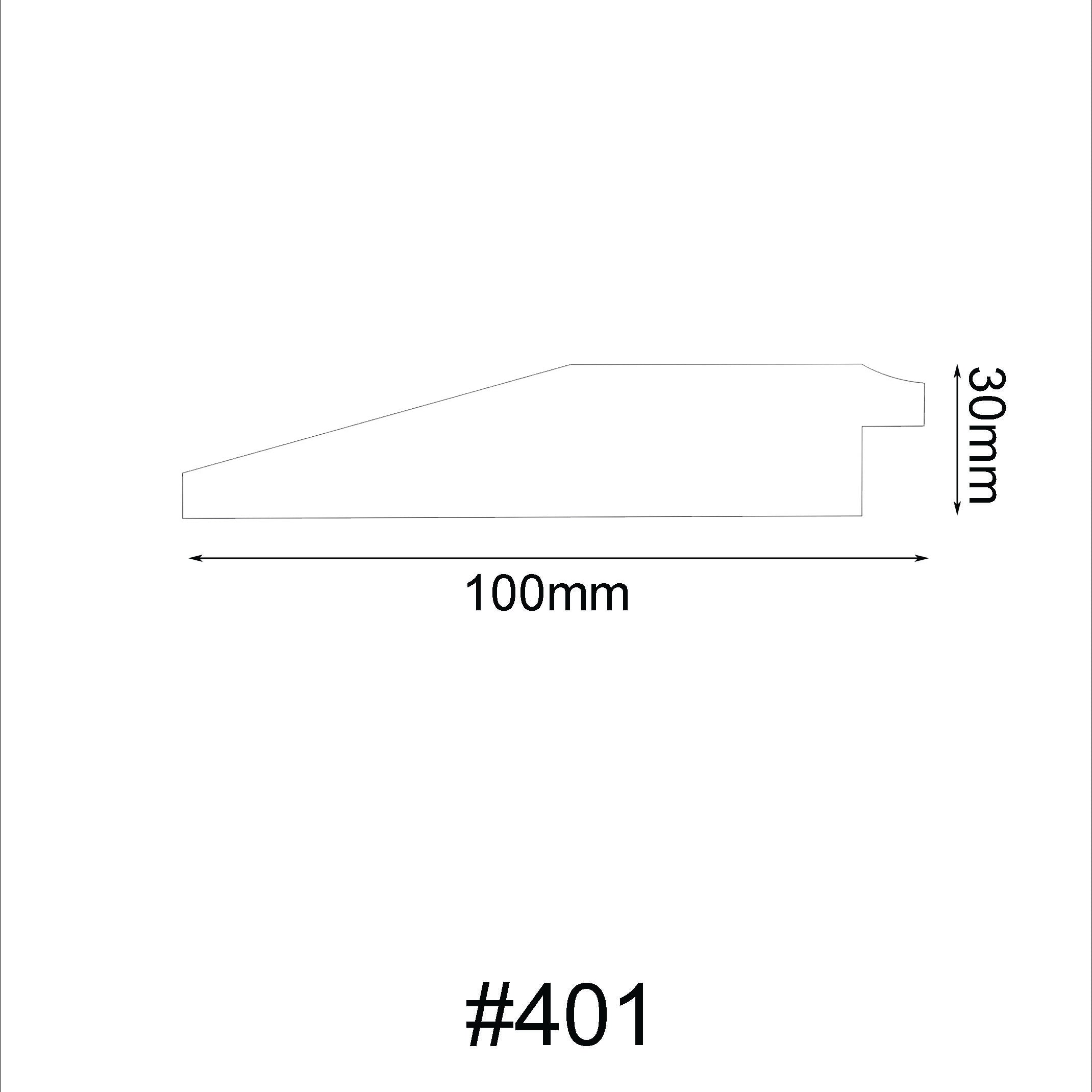 401 molding